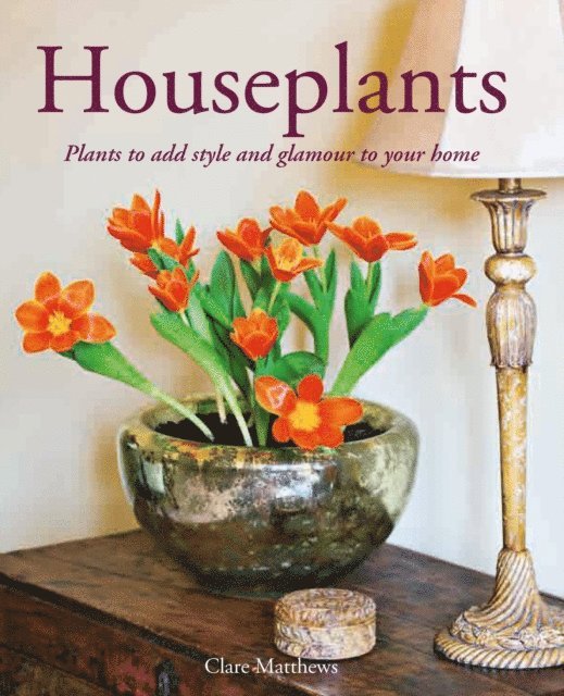 Clare Matthews - Houseplants, E-bok