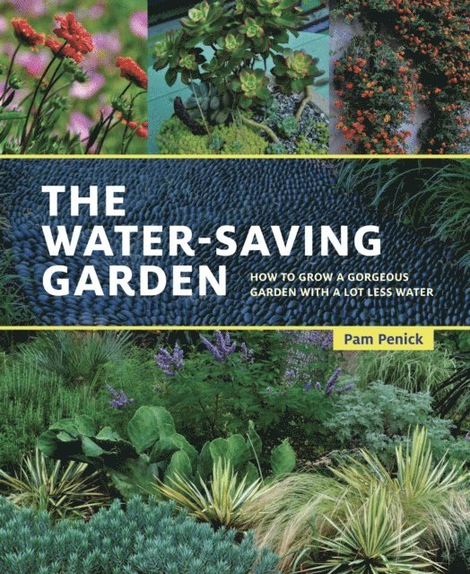 Water-Saving Garden