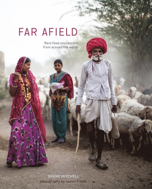 Shane Mitchell - Far Afield, E-bok