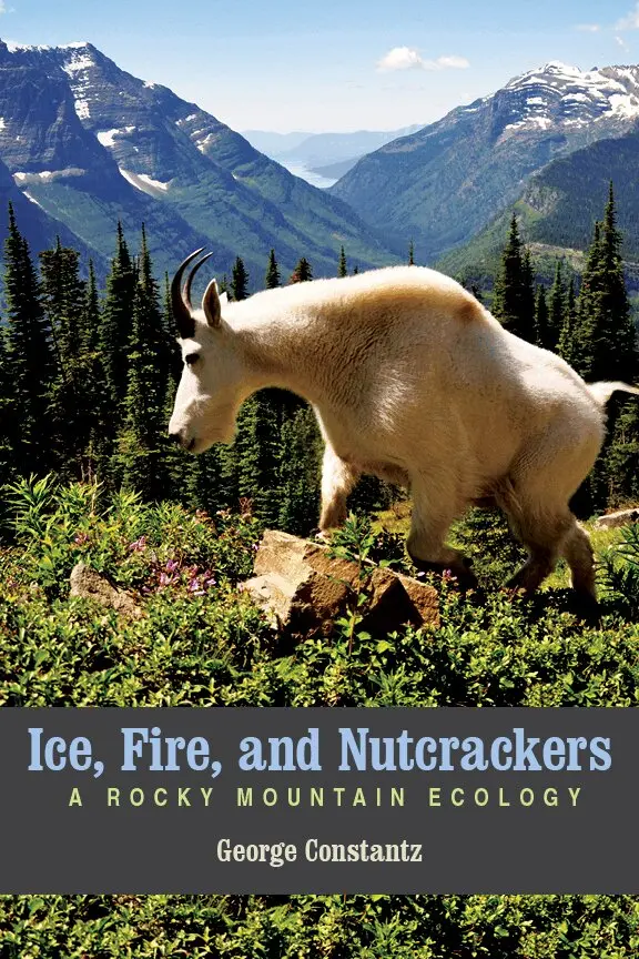 George Constantz - Ice, Fire, and Nutcrackers, Häftad. Tillgänglighet: Tillfälligt slut