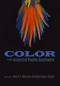 Color in the Ancestral Pueblo Southwest