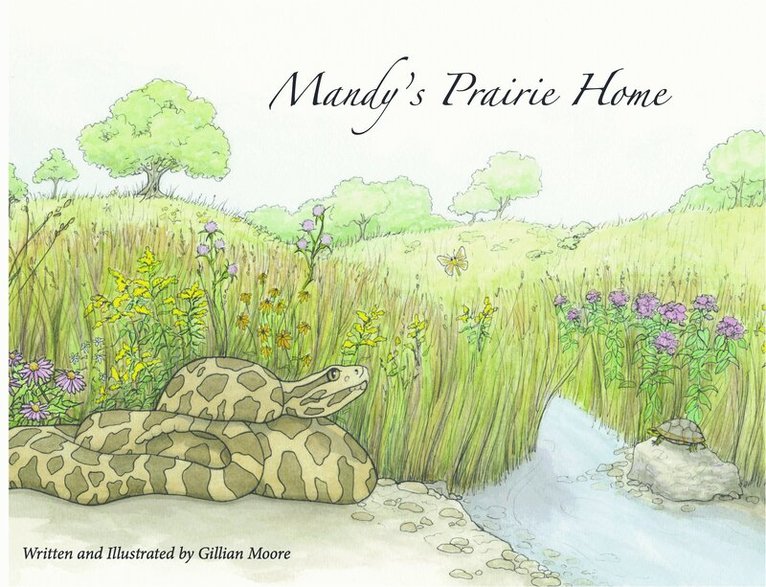 Gillian Moore - Mandy's Prairie Home, Häftad. Tillgänglighet: Tillfälligt slut