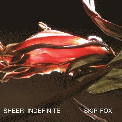 Skip Fox - Sheer Indefinite:: Selected Poems, 1991-2011, Häftad. Tillgänglighet: Lägg i varukorg