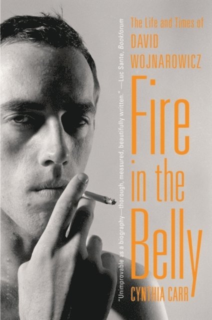 Cynthia Carr - Fire in the Belly, E-bok