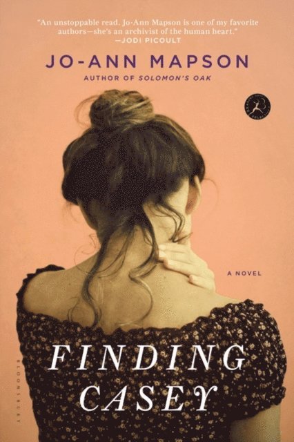 Jo-Ann Mapson - Finding Casey, E-bok