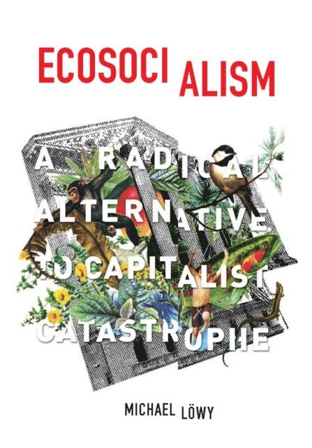Michael Lowy - Ecosocialism, E-bok