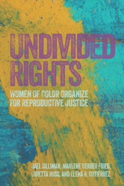 Jael Silliman, Marlene Gerber Fried, Loretta Ross, Elena Gutiérrez - Undivided Rights, E-bok