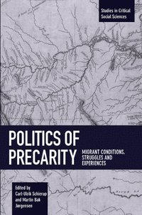 Politics Of Precarity