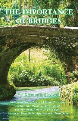 Elizabeth Haswell - The Importance of Bridges, Häftad. Tillgänglighet: Lägg i varukorg