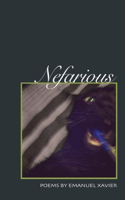 Emanuel Xavier - Nefarious, E-bok