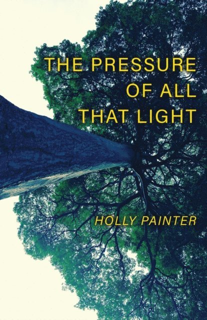Holly Painter - Press of All That Light, E-bok. Tillgänglighet: Lägg i varukorg