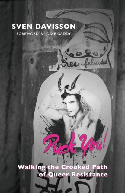 Sven Davisson - Puck You! The Crooked Path of Queer Resistance, E-bok