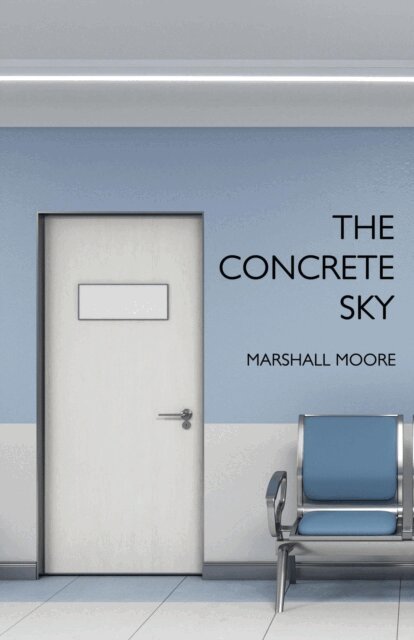 Jerry L. Wheeler, Marshall Moore - Concrete Sky, E-bok
