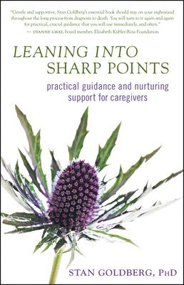 Stan Goldberg - Leaning into Sharp Points, Häftad. Tillgänglighet: Lägg i varukorg