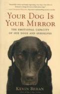 Your Dog Is Your Mirror
