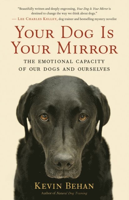 Kevin Behan - Your Dog Is Your Mirror, E-bok