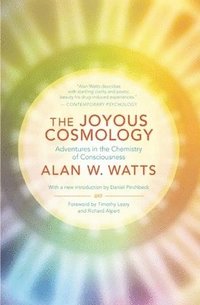 The Joyous Cosmology