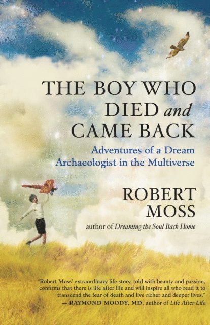 Robert Moss - Boy Who Died and Came Back, E-bok