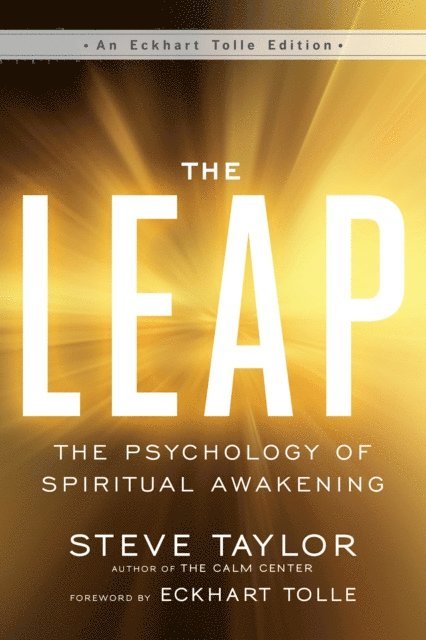 Steve Taylor - Leap, E-bok