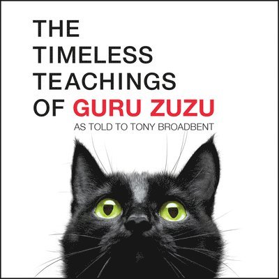Tony Broadbent - Timeless Teachings of Guru Zuzu, Häftad