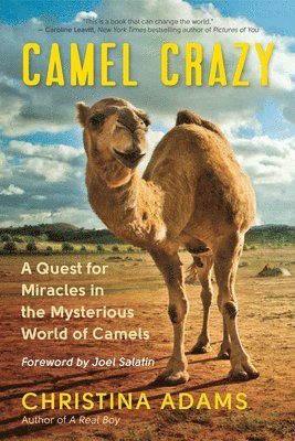 Christina Adam - Camel Crazy, Häftad
