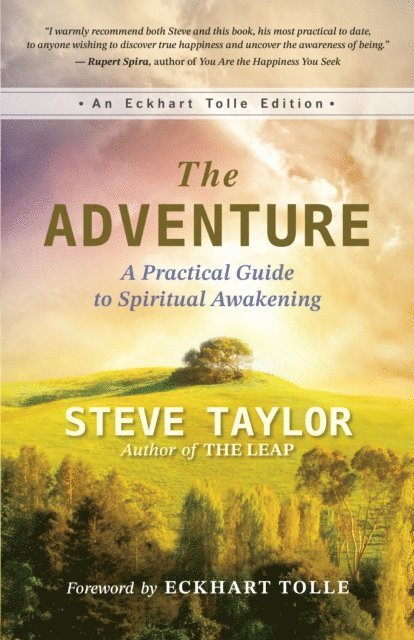 Steve Taylor - Adventure, E-bok
