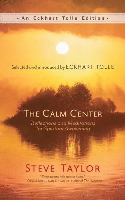 Steve Taylor - Calm Center, E-bok