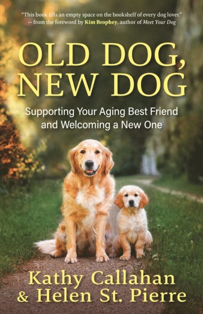 Old Dog, New Dog
