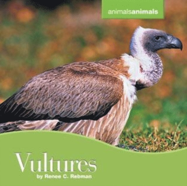 Tracy Barrett - Vultures, E-bok