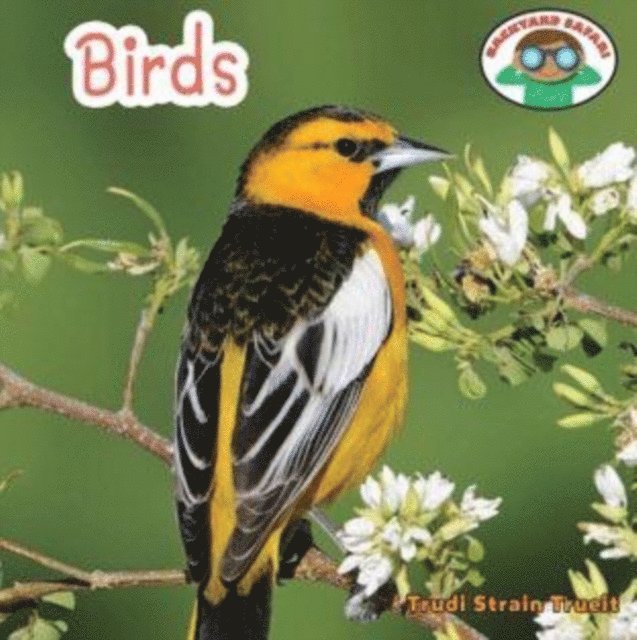 Trudi Strain Trueit - Birds, E-bok