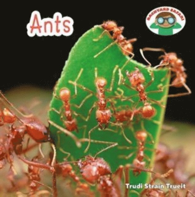 Trudi Strain Trueit - Ants, E-bok