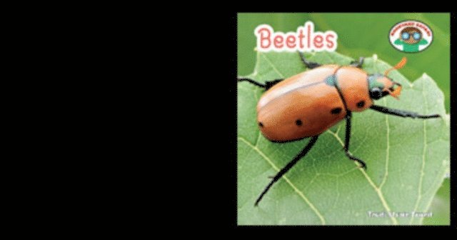 Trudi Strain Trueit - Beetles, E-bok