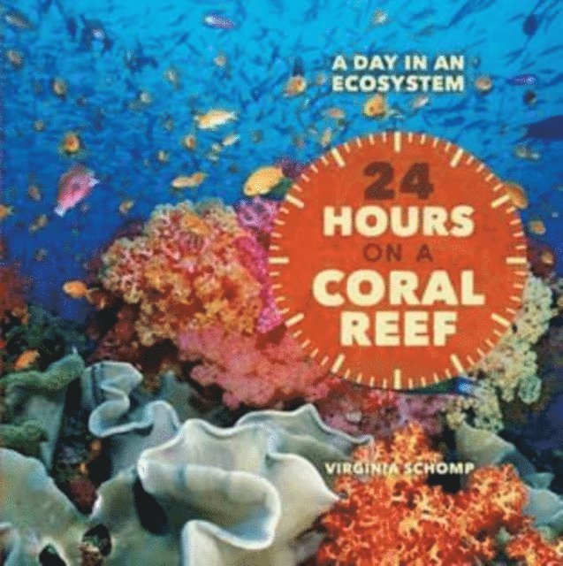 Virginia Schomp - 24 Hours on a Coral Reef, E-bok
