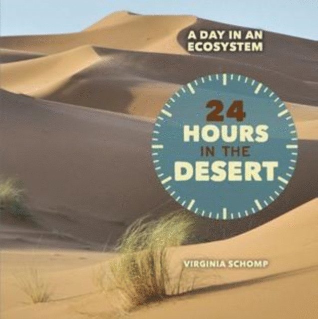 Virginia Schomp - 24 Hours in the Desert, E-bok