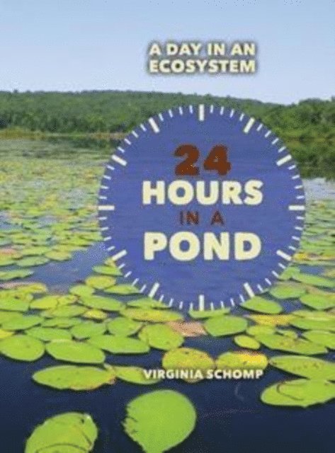 Virginia Schomp - 24 Hours in a Pond, E-bok