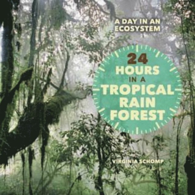 Virginia Schomp - 24 Hours in a Tropical Rain Forest, E-bok