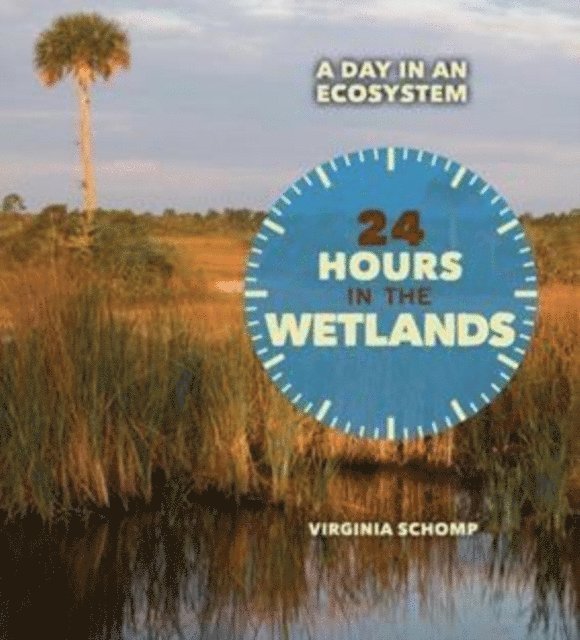 Virginia Schomp - 24 Hours in the Wetlands, E-bok