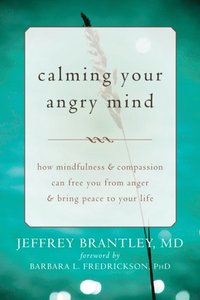 Calming Your Angry Mind