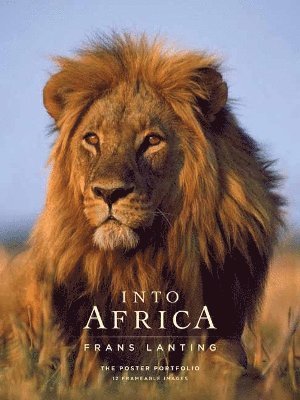 Into Africa: The Poster Portfolio, Häftad. Tillgänglighet: Tillfälligt slut