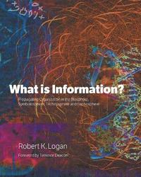 What is Information?