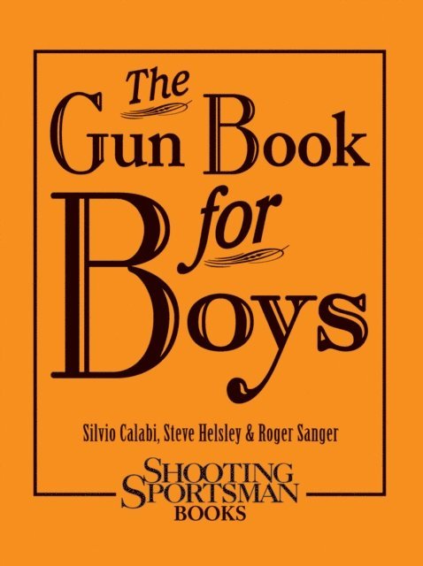 Roger Sanger, Steve Helsley, Silvio Calabi - Gun Book for Boys, E-bok