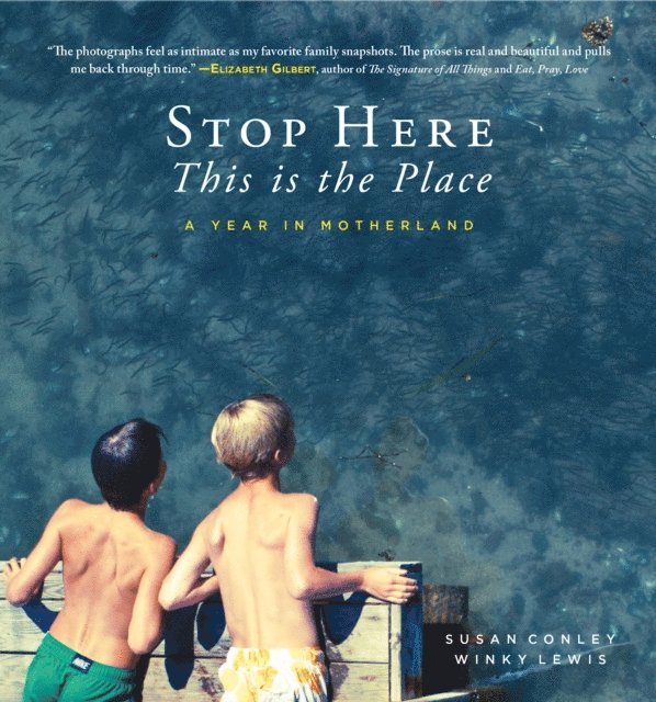 Susan Conley - Stop Here, This is the Place, E-bok