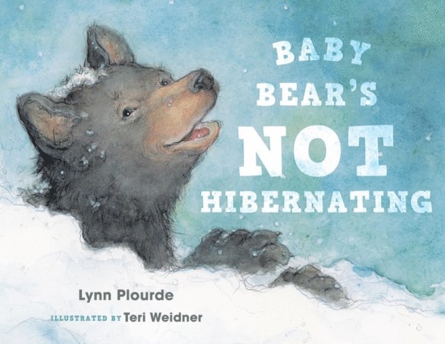 Lynn Plourde - Baby Bear's Not Hibernating, E-bok