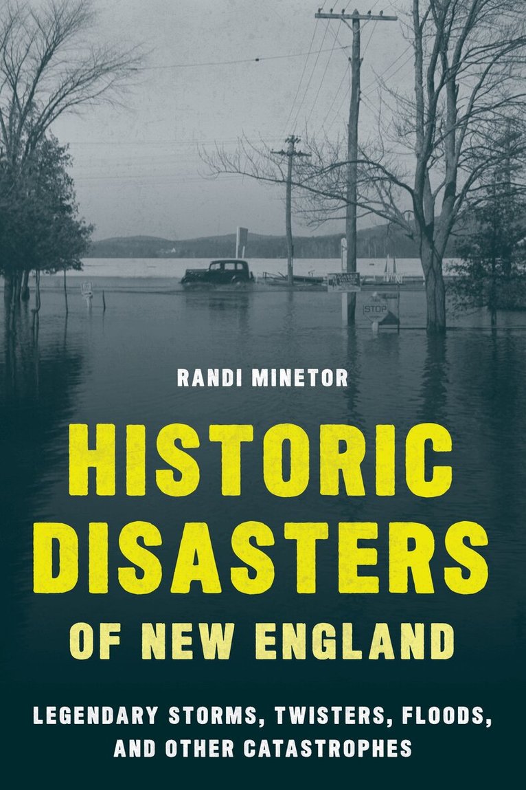 Randi Minetor - Historic Disasters of New England, Häftad