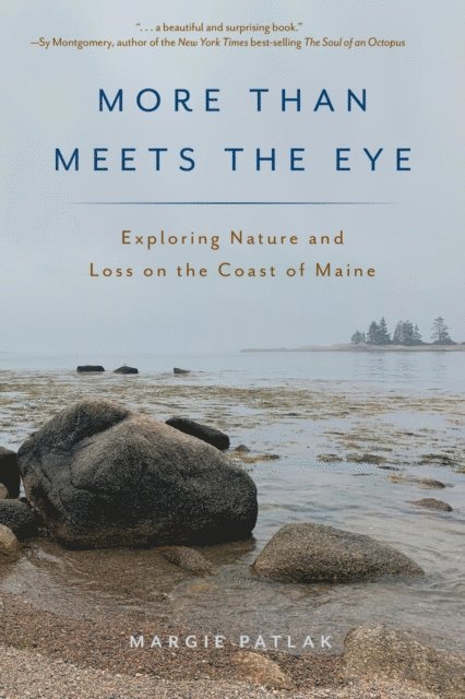 Margie Patlak - More Than Meets the Eye, E-bok