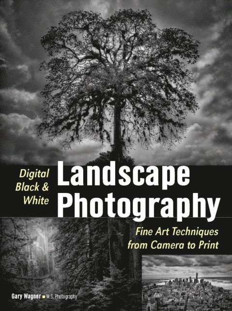Digital Black & White Landscape Photography