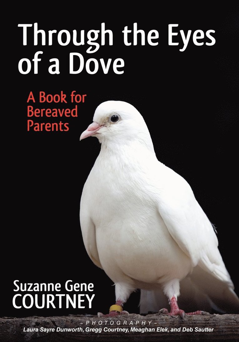 Suzanne Gene Courtney - Through the Eyes of a Dove, Häftad. Tillgänglighet: Lägg i varukorg