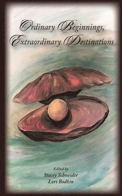 Stacey Schneider - Ordinary Beginnings, Extraordinary Destinations, Häftad