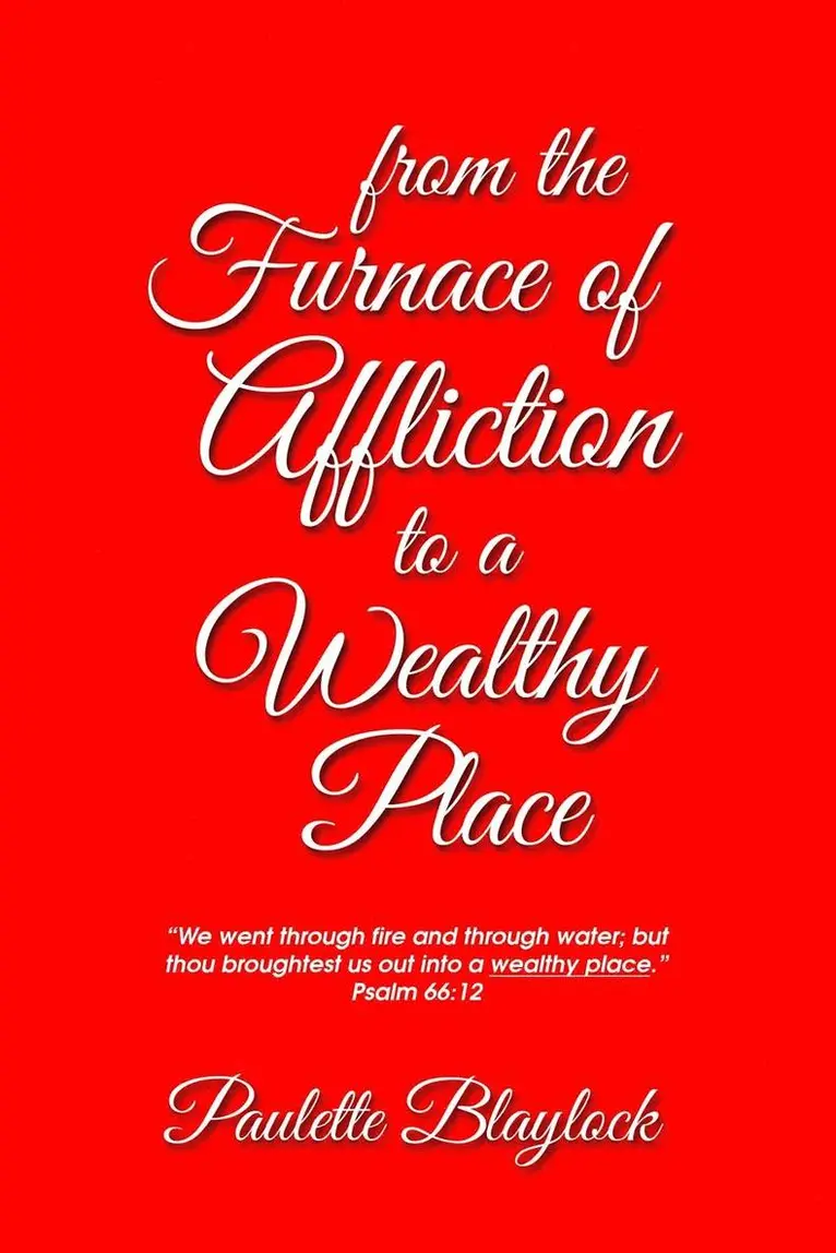 Paulette Blaylock - From the Furnace of Affliction to a Wealthy Place, Häftad. Tillgänglighet: Lägg i varukorg