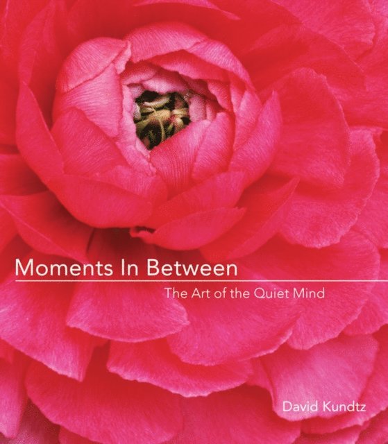 David Kundtz - Moments in Between, E-bok